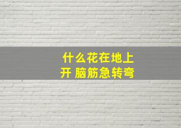 什么花在地上开 脑筋急转弯